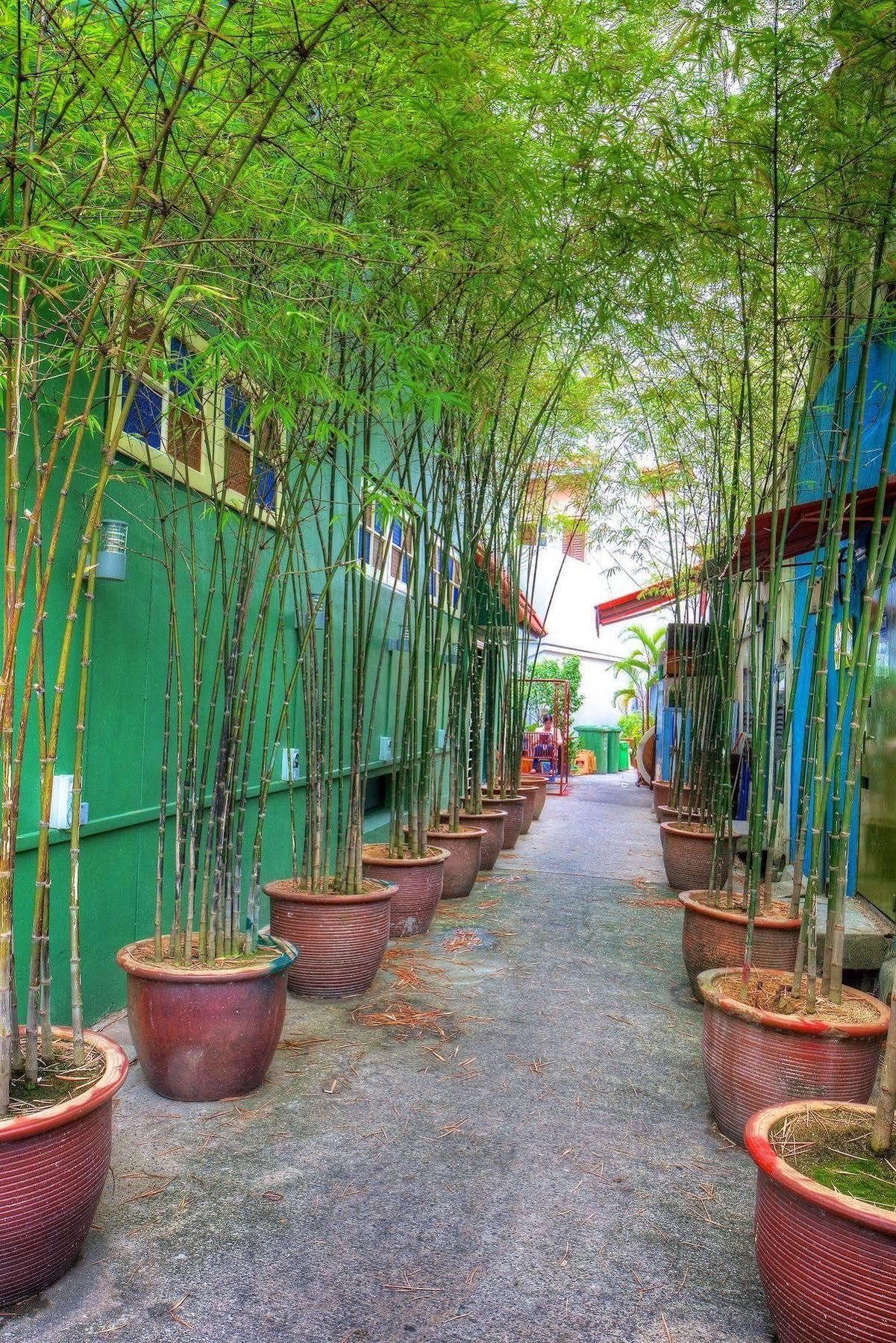Superb Hostel Singapore Exterior photo